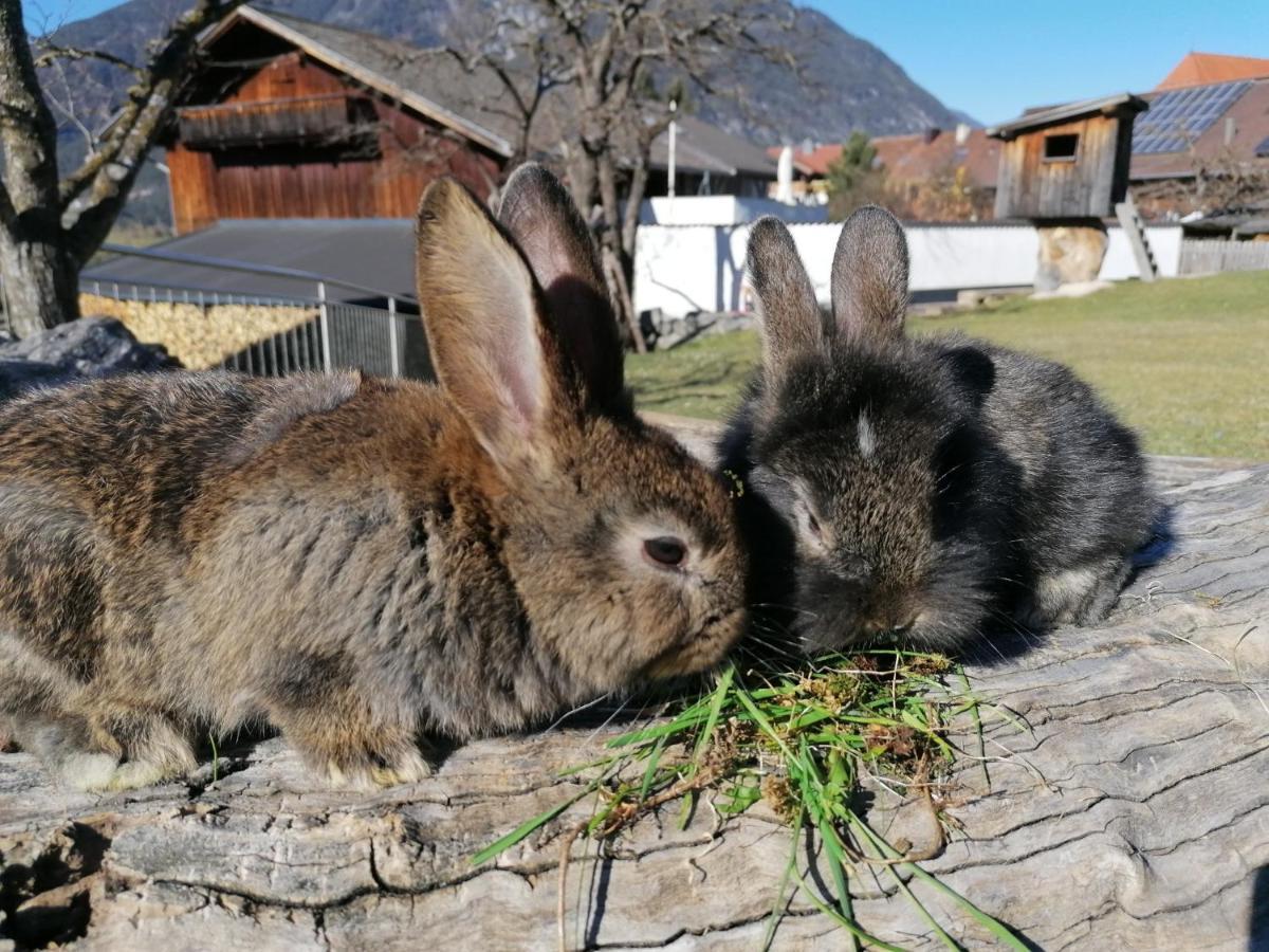 Kinderbauernhof Ierzerhof Arzl im Pitztal Εξωτερικό φωτογραφία