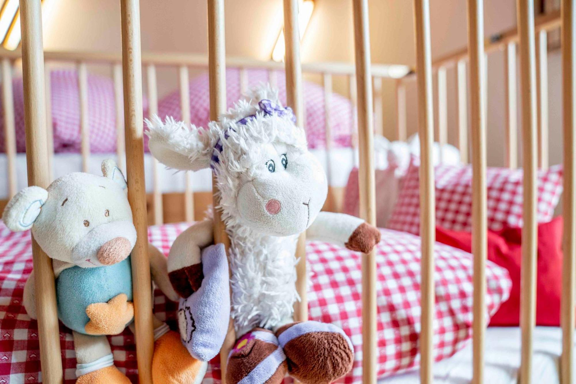 Kinderbauernhof Ierzerhof Arzl im Pitztal Εξωτερικό φωτογραφία
